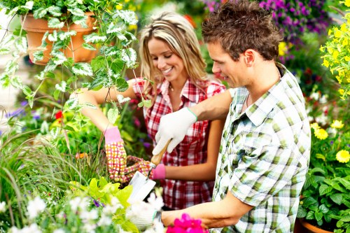 Professional gardener maintaining garden hedges