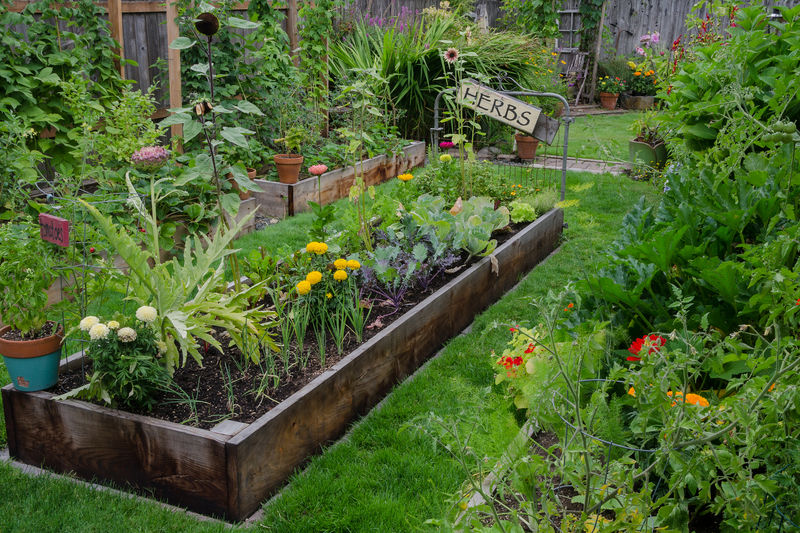 garden hedges