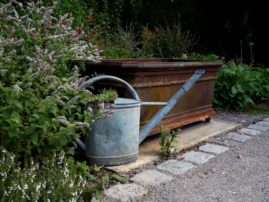 A weathered silver metal watering can with a curved handle and long spout rests on a concrete slab next to a large, rusted metal garden planter box. The planter is partially filled with soil and conta