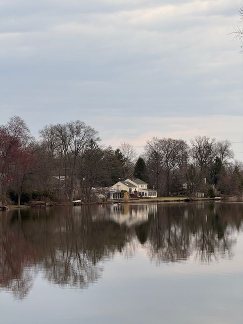 A tranquil lakeside scene featuring a reflection of leafless trees and residential houses along the shoreline on a cloudy day. The water appears calm with a mirror-like surface, capturing the intricat