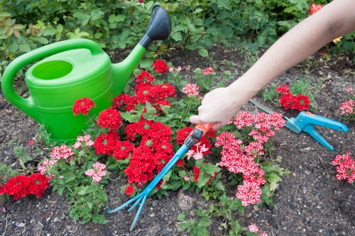 Professional lawn mowing service in Barnet
