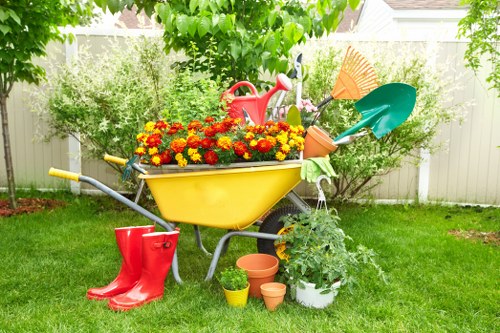 Seasonal lawn care in Barnet