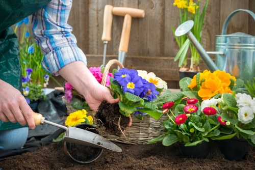 Customized lawn maintenance plans